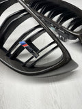 BMW 15-20 F80 F82 F83 M3 M4 Front Kidney Grilles Carbon Fiber Set