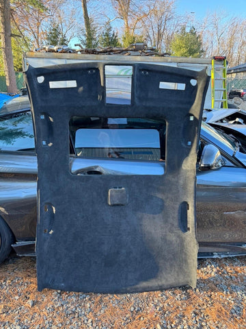 (PICK UP ONLY) BMW 00-03 E39 M5 OEM ALCANTARA HEADLINER