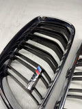 16-21 BMW Genuine F87 M2 2018 Front Kidney Grille Pair L+R OEM 7295522 / 7295521