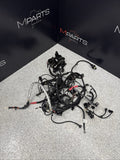 15-20 OEM BMW F87 F80 F82 F83 M2 M3 M4 S55 Engine Motor Wire Wiring Harness