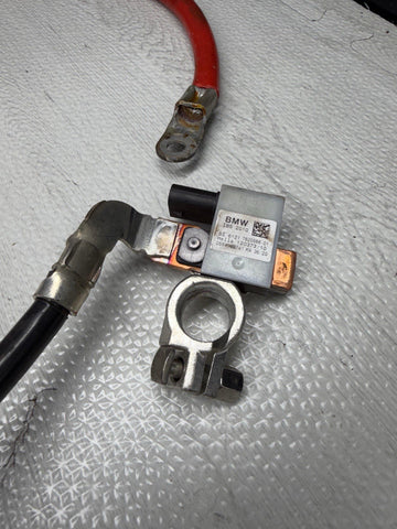 04-10 BMW E63 E64 645 650 M6 Positive / Negative Battery Terminal Cable Wire OEM