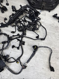 14-19 BMW F85 F86 X5M X6M S63 Engine Motor Front Right Wire Harness Loom *CUT