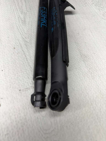 15-20 BMW F83 M4 Convertible Pair of Rear Trunk Lid Spring Struts F33HKL OEM