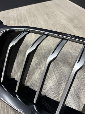 aa205340 BMW G16 840i 8 Series 2020 2021 2022 Front Bumper Chrome Grille OEM