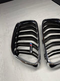 16-21 BMW Genuine F87 M2 2018 Front Kidney Grille Pair L+R OEM 7295522 / 7295521