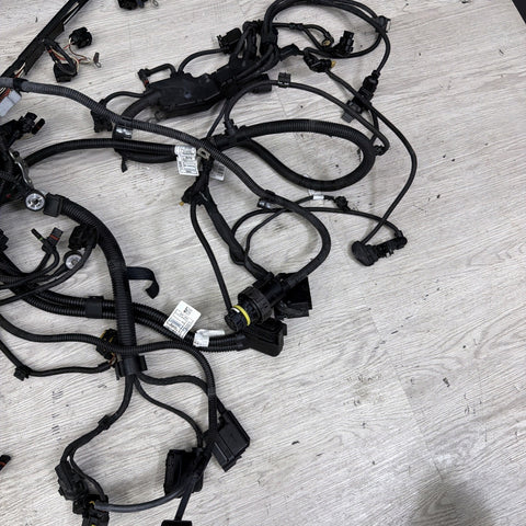 BMW 15-20 F80 F82 F83 M3 M4 S55 ENGINE WIRE WIRING HARNESS OEM