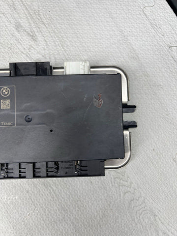 10-17 BMW F10 F13 F06 F01 F02 Footwell Light Control Module Temic FRM III FRM 3