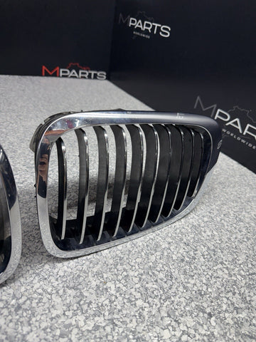 BMW OEM 01-06 E46 M3 Front Kidney Grilles Chrome 51138208685 51138208686