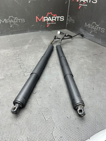 14-18 BMW X5 X5M F15 F85 Trunk Lid Liftgate Shock Support Left Right Set OEM