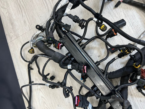 15-19 Ferrari 488 Engine Motor Wire Wiring Harness