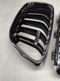 16-21 BMW Genuine F87 M2 2018 Front Kidney Grille Pair L+R OEM 7295522 / 7295521