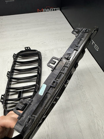 BMW 15-20 F80 F82 F83 M3 M4 Front Kidney Grilles Carbon Fiber Set