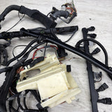 COMPLETE Engine / Transmission Harness 2001-2006 BMW E46 M3 S54 Manual