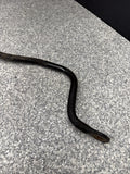 Rear Factory Swaybar Swaybar BMW E39 M5