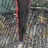 16-23 FERRARI F8 488 GTB Spider Right Passenger Sideskirt Side Skirt ROSSO RED