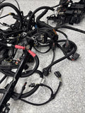 15-20 OEM BMW F87 F80 F82 F83 M2 M3 M4 S55 Engine Motor Wire Wiring Harness