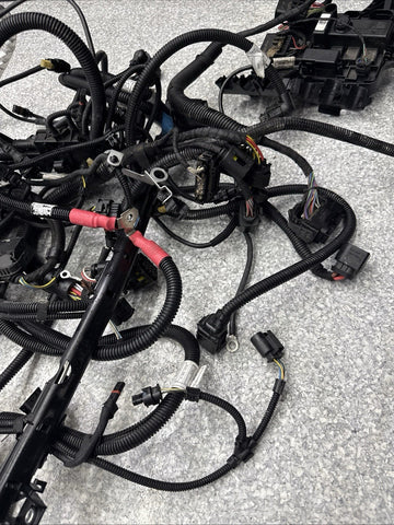 15-20 OEM BMW F87 F80 F82 F83 M2 M3 M4 S55 Engine Motor Wire Wiring Harness