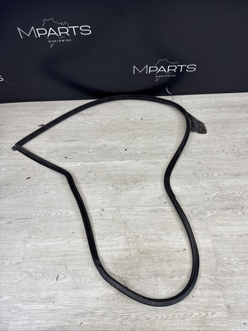 BMW E46 M3 01-06 Left Driver Side Door Weather Strip Seal OEM *Notes*