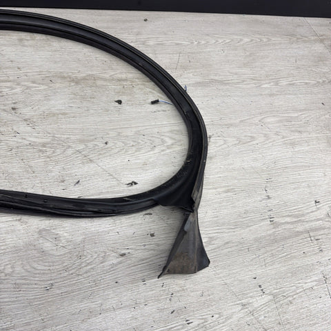 BMW E46 M3 01-06 Passenger Right Side Door Weather Strip Seal Black OEM