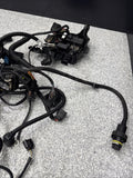 15-20 OEM BMW F87 F80 F82 F83 M2 M3 M4 S55 Engine Motor Wire Wiring Harness