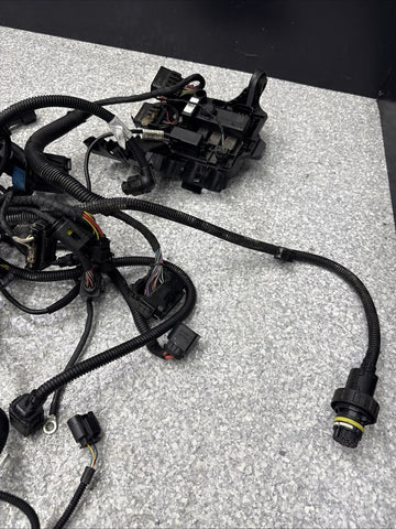 15-20 OEM BMW F87 F80 F82 F83 M2 M3 M4 S55 Engine Motor Wire Wiring Harness