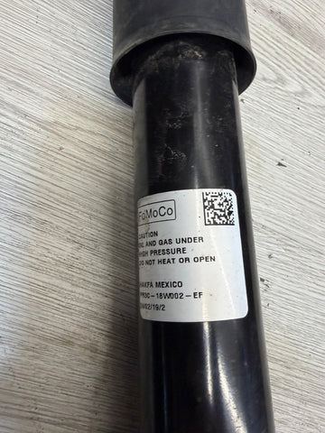 24-25 Ford Mustang Rear Shock Absorber Strut Set (Left+Right) OEM PR3C-18W002-EF