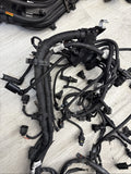 14-19 BMW F85 F86 X5M X6M S63 Engine Motor Front Right Wire Harness Loom *CUT