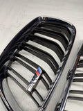 16-21 BMW Genuine F87 M2 2018 Front Kidney Grille Pair L+R OEM 7295522 / 7295521