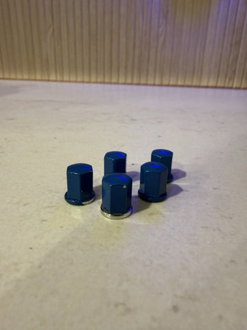 01-13 BMW E46 M3 S54 Engine Beauty Cover OEM Nuts Painted Laguna Seca Blue (5)