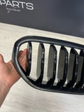 NEW Carbon Fiber Kidney Grille BMW 5 Series G30 G31 F90 M5 LCI 2021-2023