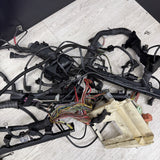 COMPLETE Engine / Transmission Harness 2001-2006 BMW E46 M3 S54 SMG