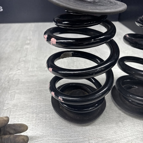 01-06 BMW E46 M3 Coupe Rear Axle Coils Springs Pair Pink Markings
