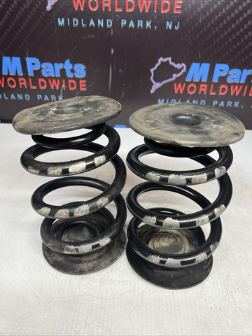 01-06 BMW E46 M3 Convertible Rear Axle Coils Springs White Markings